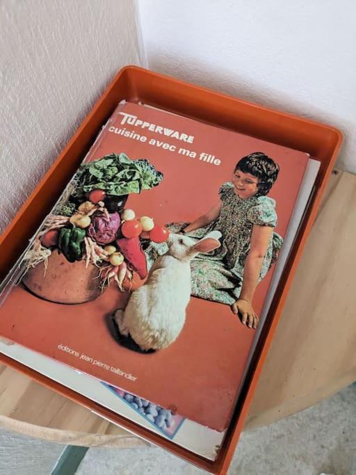 L'Appartement Vintage Issoire Kültér fotó